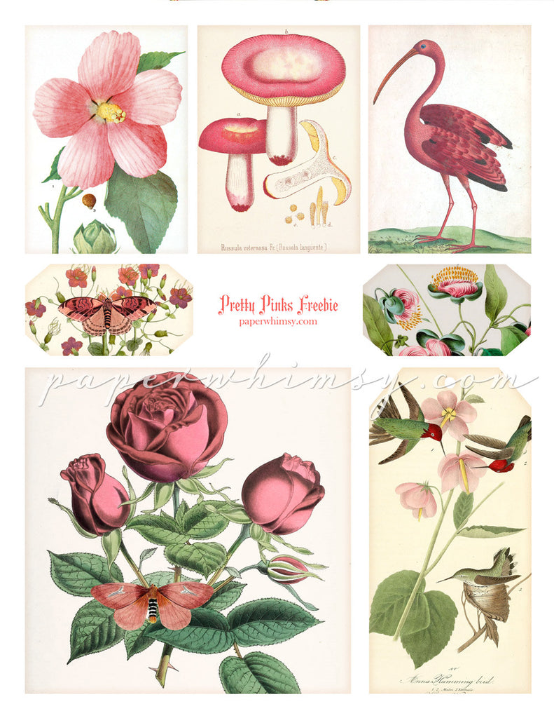 Pretty Pink Freebie PDF - paperwhimsy
