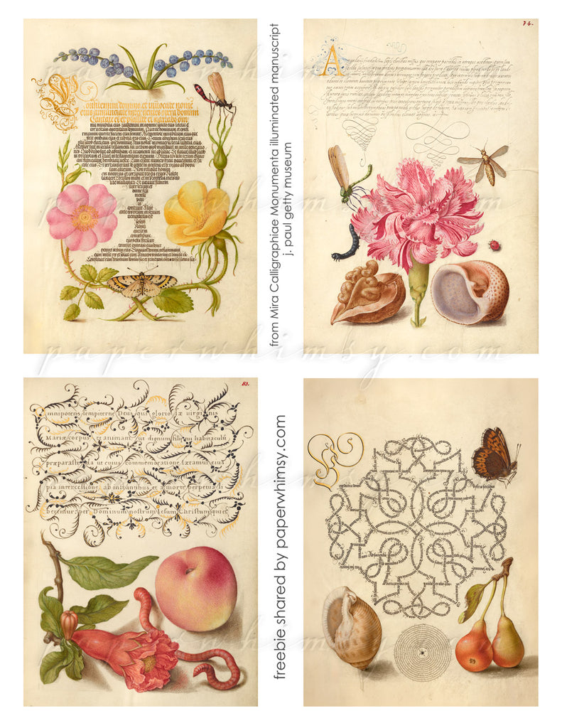 Free Sheet Illuminated Manuscripts 01