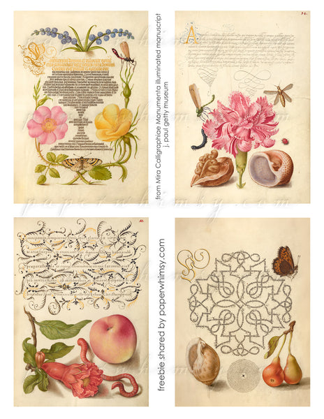 Free Sheet Illuminated Manuscripts 01