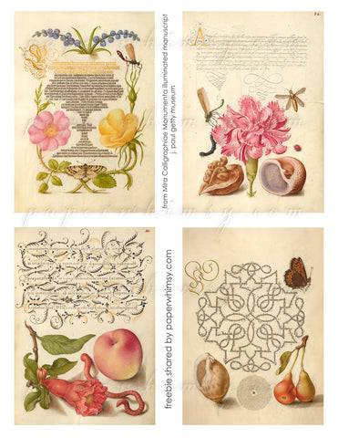 Free Sheet Illuminated Manuscripts 01