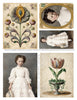 antique images from c 1800s restored and edited and arranged in a letter sized sheet