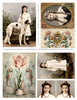 New Classics 03-1 DOWNLOAD