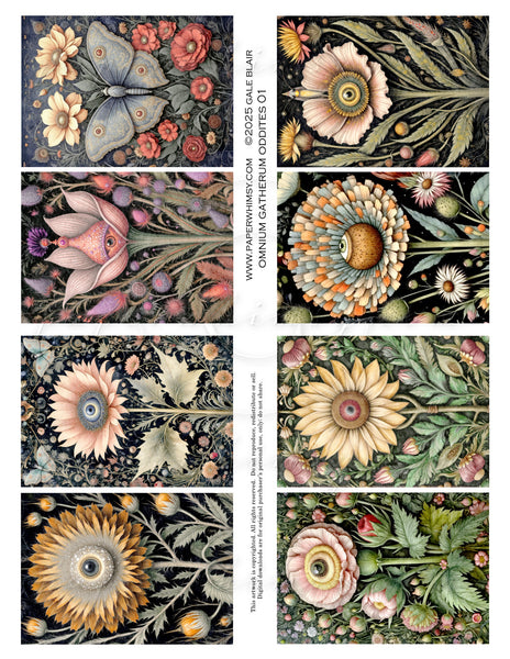 O-G Oddities 01 DOWNLOAD