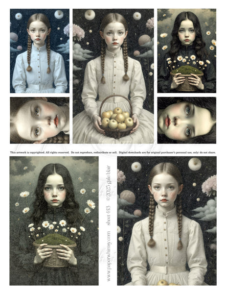 Sheet 443 DOWNLOAD