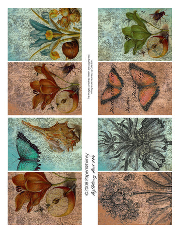 Digi 004 PRINTED - paperwhimsy