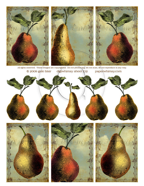 Digi 132 PDF - paperwhimsy