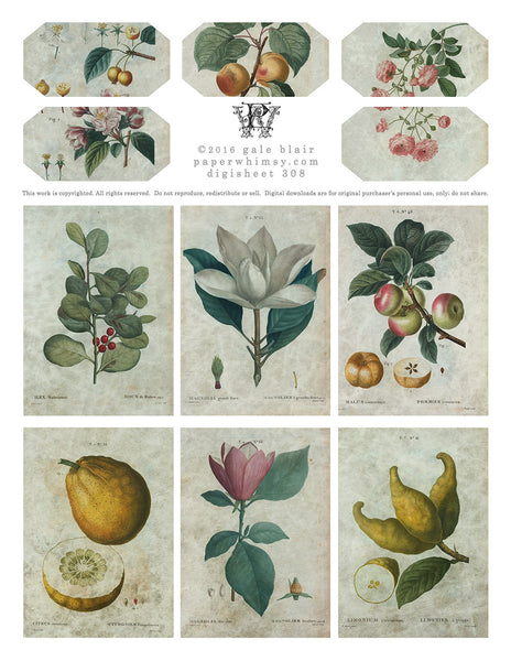 Digi 308 PDF - paperwhimsy
