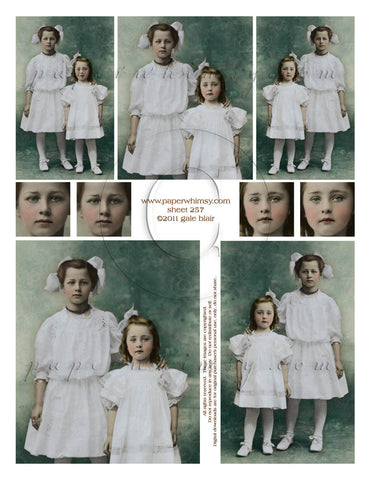 Sheet 257 PRINTED - paperwhimsy